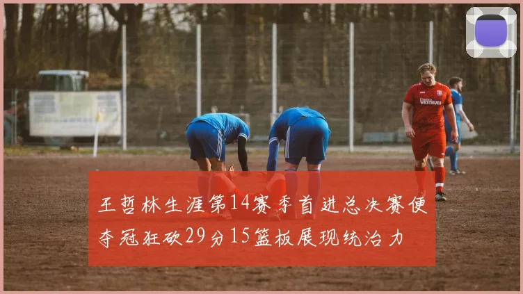 王哲林生涯第14赛季首进总决赛便夺冠狂砍29分15篮板展现统治力