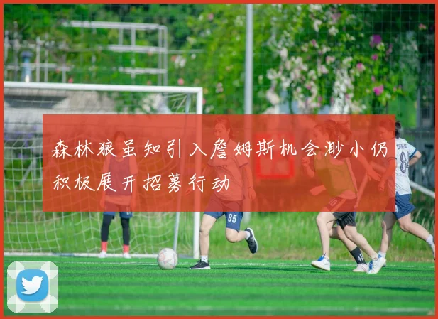 森林狼虽知引入詹姆斯机会渺小仍积极展开招募行动